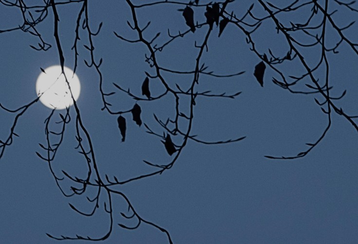 Italy, Piedmont, Mondovì moon